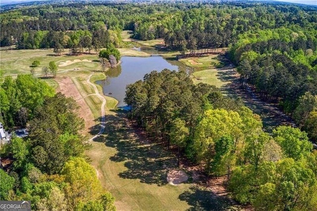 1080 Homestead Dr, Milton, GA 30004