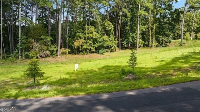 1080 Homestead Dr, Milton, GA 30004