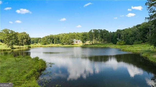 1080 Homestead Dr, Milton, GA 30004