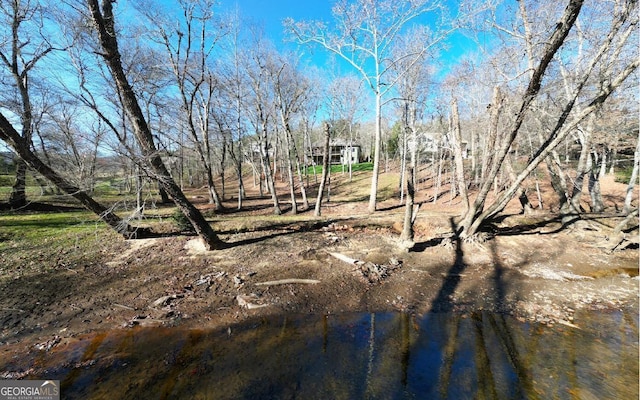 2628 Rolling River Dr, Hiawassee, GA 30546 - view of yard featuring view of scattered trees