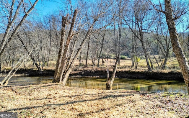 2628 Rolling River Dr, Hiawassee, GA 30546 - water view