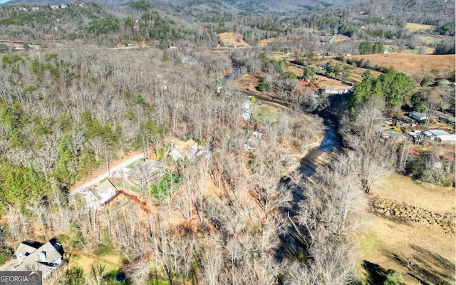 2628 Rolling River Dr, Hiawassee, GA 30546 - aerial view of a forest