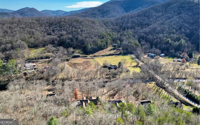 2628 Rolling River Dr, Hiawassee, GA 30546 - mountain view featuring a heavily wooded area