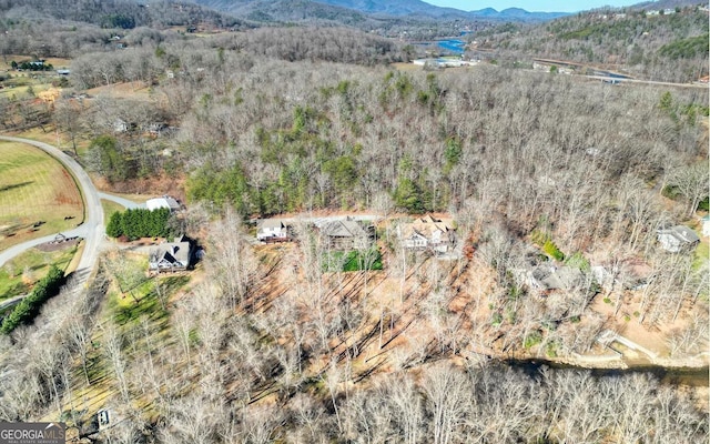 2628 Rolling River Dr, Hiawassee, GA 30546 - aerial view of mountains and a forest