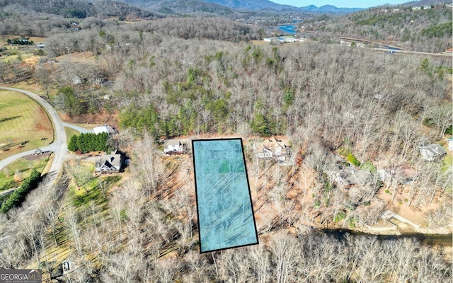 2628 Rolling River Dr, Hiawassee, GA 30546 - aerial overview of property's location featuring a mountainous background and a heavily wooded area