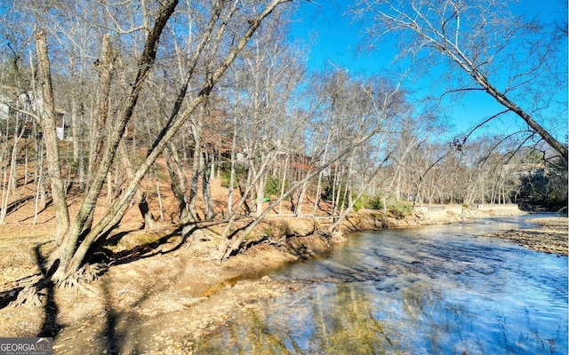 2628 Rolling River Dr, Hiawassee, GA 30546 - view of yard