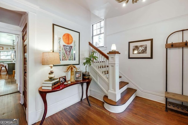 781 Boulevard, Athens, GA 30601 - stairway featuring hardwood / wood-style flooring and healthy amount of natural light
