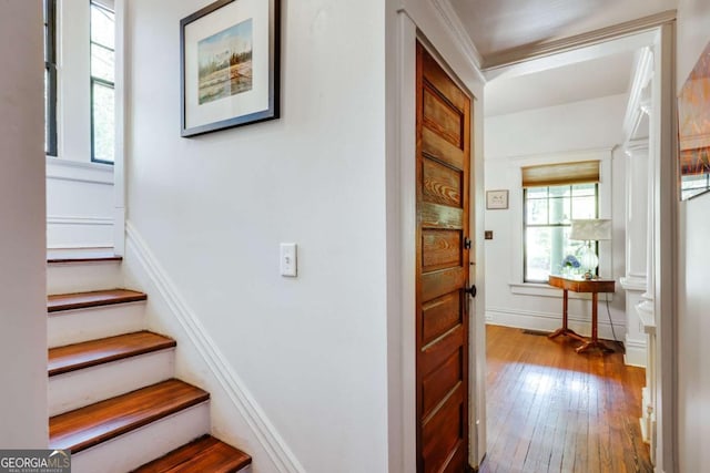 781 Boulevard, Athens, GA 30601 - stairs featuring hardwood / wood-style flooring