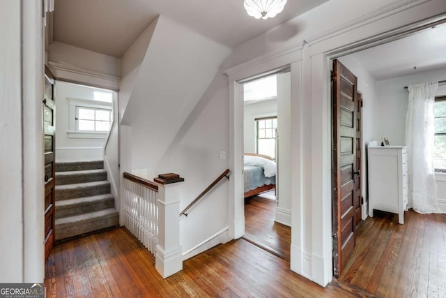 781 Boulevard, Athens, GA 30601 - stairway with wood-type flooring and healthy amount of natural light