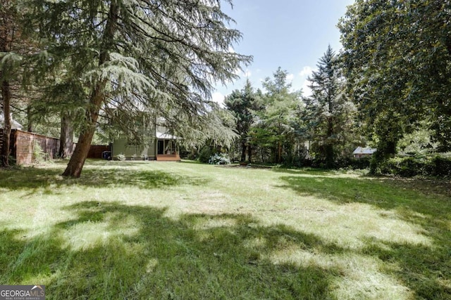781 Boulevard, Athens, GA 30601 - view of grassy yard