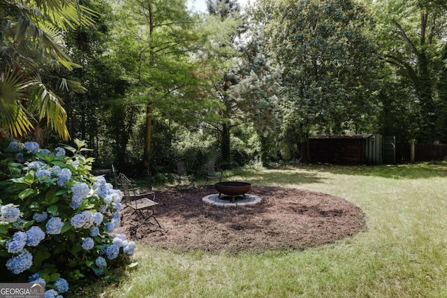 781 Boulevard, Athens, GA 30601 - view of green lawn featuring a fire pit