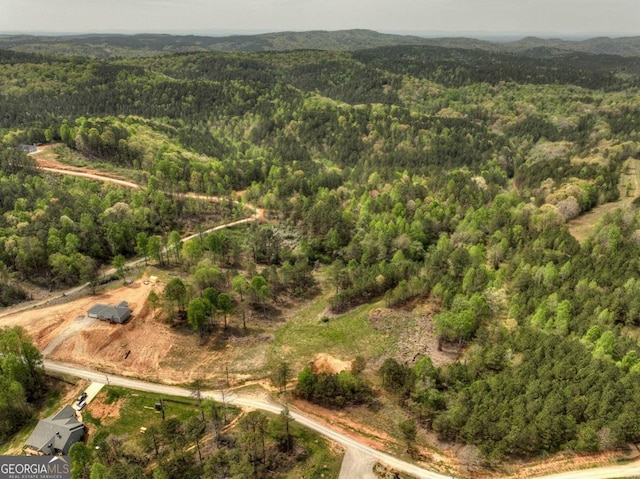 84.37AC Bethel Rd, Talking Rock, GA 30175