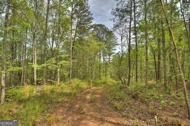 84.37AC Bethel Rd, Talking Rock, GA 30175