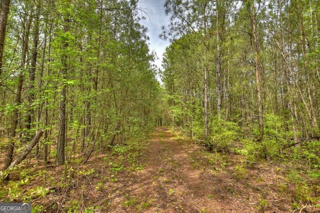 84.37AC Bethel Rd, Talking Rock, GA 30175
