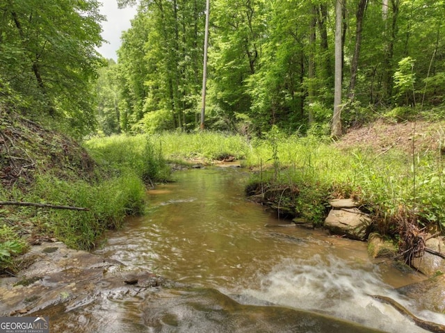 84.37AC Bethel Rd, Talking Rock, GA 30175