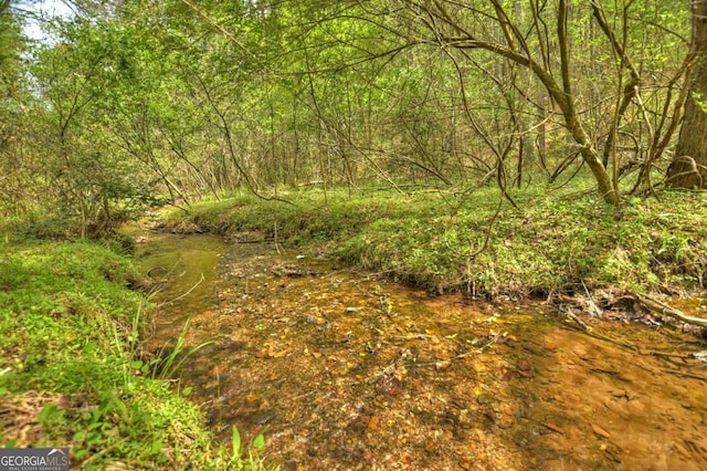 84.37AC Bethel Rd, Talking Rock, GA 30175