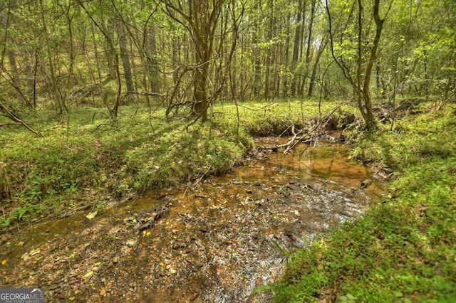 84.37AC Bethel Rd, Talking Rock, GA 30175