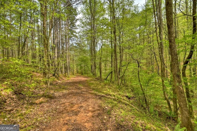 84.37AC Bethel Rd, Talking Rock, GA 30175