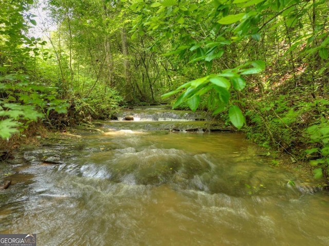 84.37AC Bethel Rd, Talking Rock, GA 30175