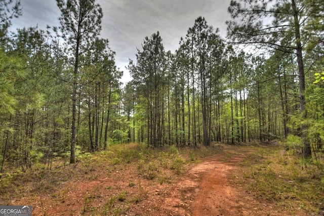 84.37AC Bethel Rd, Talking Rock, GA 30175