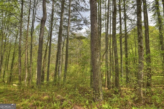 84.37AC Bethel Rd, Talking Rock, GA 30175