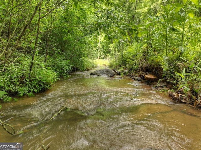 84.37AC Bethel Rd, Talking Rock, GA 30175