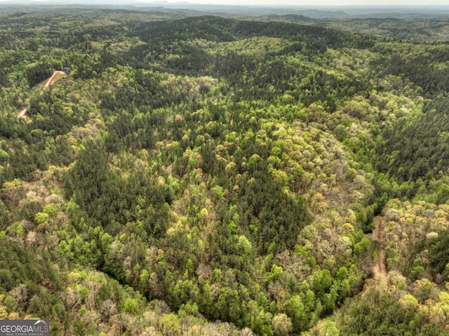 84.37AC Bethel Rd, Talking Rock, GA 30175