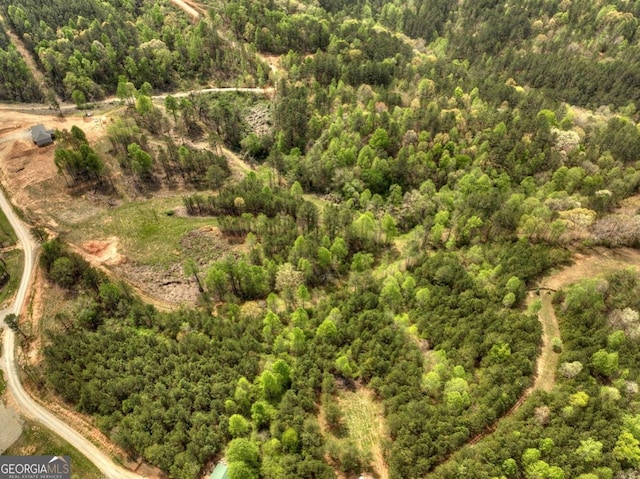 84.37AC Bethel Rd, Talking Rock, GA 30175
