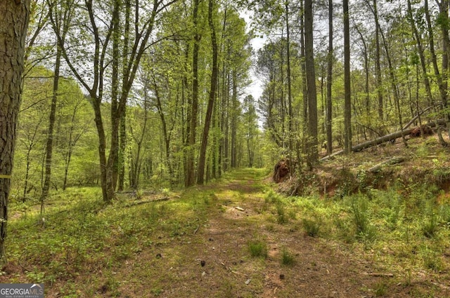 84.37AC Bethel Rd, Talking Rock, GA 30175