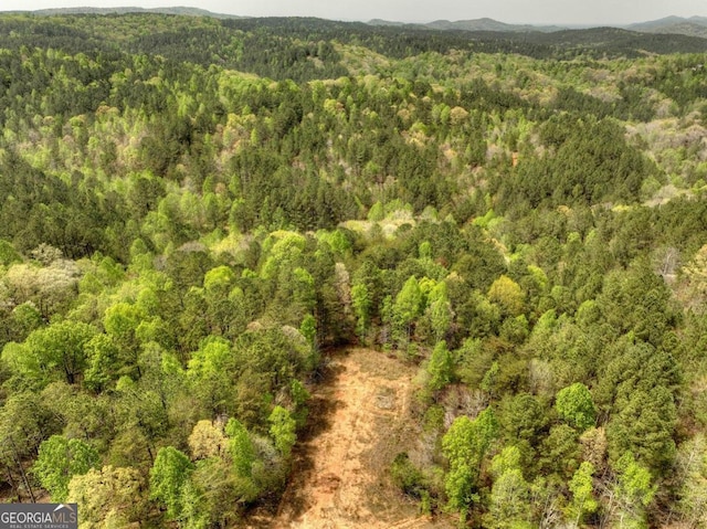 84.37AC Bethel Rd, Talking Rock, GA 30175