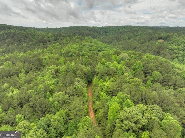84.37AC Bethel Rd, Talking Rock, GA 30175