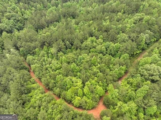 84.37AC Bethel Rd, Talking Rock, GA 30175