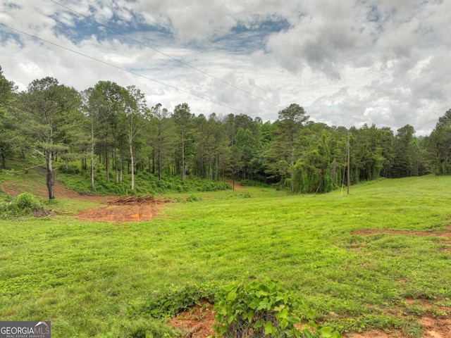 84.37AC Bethel Rd, Talking Rock, GA 30175