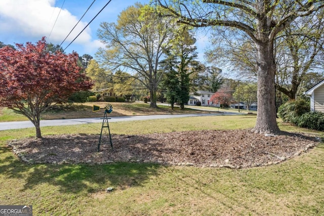 2019 Wiltshire Pl, Snellville, GA 30078 - view of grassy yard
