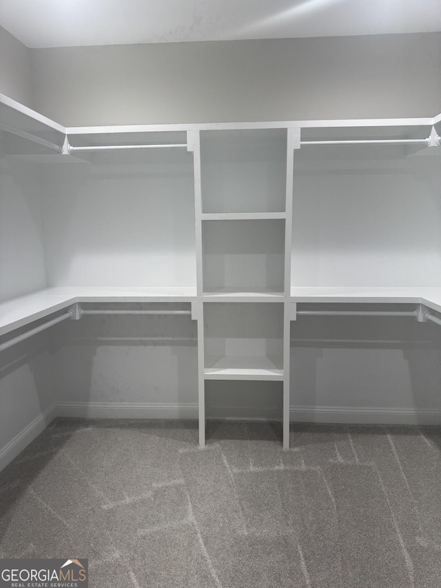 223 Ryan Nicholas Dr, Kingsland, GA 31548 - spacious closet with carpet floors