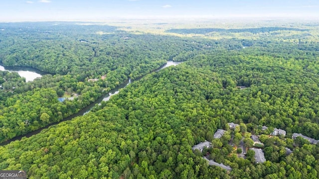 408 River Run Dr, Sandy Springs, GA 30350 - bird's eye view of a forest and a large body of water