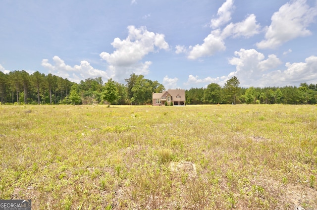 2025 Chicken Rd, Dudley, GA 31022 - view of yard with a view of countryside and a wooded view