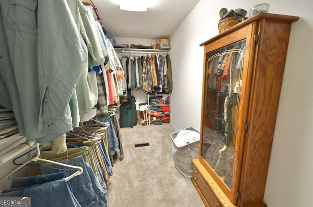 2025 Chicken Rd, Dudley, GA 31022 - walk in closet with carpet flooring