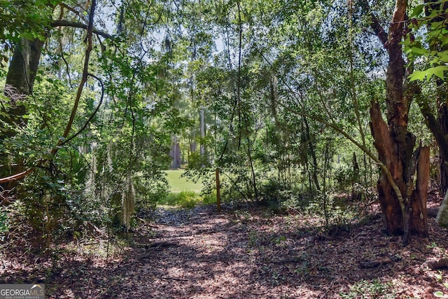 1069 Shellman Hammock Dr NE, Townsend, GA 31331 - view of local wilderness