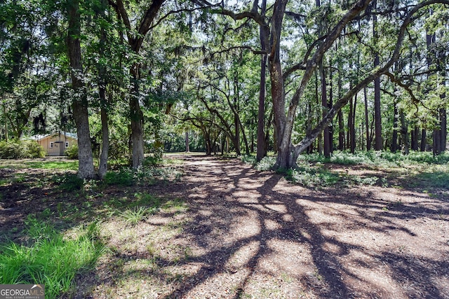 1069 Shellman Hammock Dr NE, Townsend, GA 31331 - view of street featuring a forest view