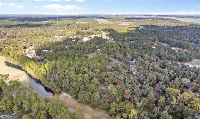 1069 Shellman Hammock Dr NE, Townsend, GA 31331 - view of property location with a heavily wooded area and a large body of water