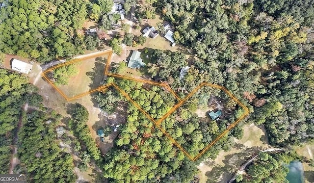 1069 Shellman Hammock Dr NE, Townsend, GA 31331 - bird's eye view