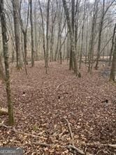 0 Amber Ln Unit 54, Ellijay, GA 30540