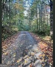 0 Amber Ln Unit 54, Ellijay, GA 30540