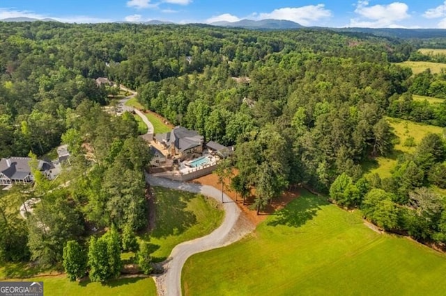 37 Retreat Rdg, Cartersville, GA 30120 - aerial view of a forest