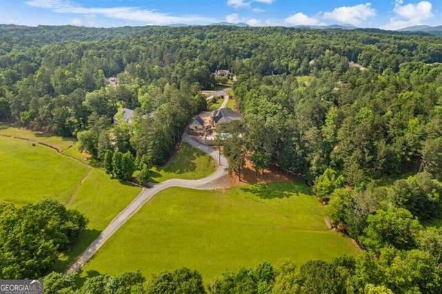 37 Retreat Rdg, Cartersville, GA 30120 - drone / aerial view of a heavily wooded area