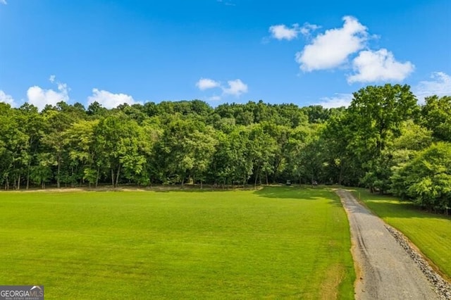 37 Retreat Rdg, Cartersville, GA 30120 - view of home's community with a lawn and a forest view