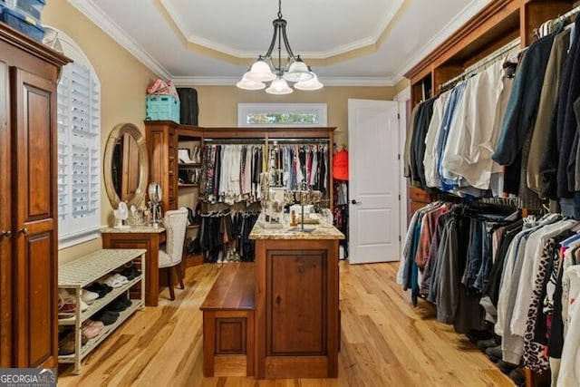 37 Retreat Rdg, Cartersville, GA 30120 - spacious closet with a tray ceiling, a chandelier, and light wood-style floors