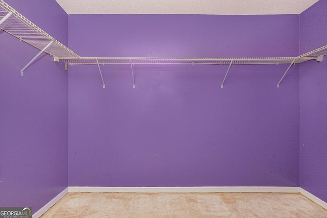 3740 Arminto Dr, Ellenwood, GA 30294 - walk in closet with carpet