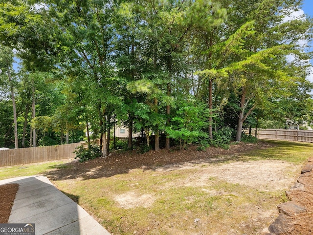 6439 Mossy Boulder Dr, Flowery Branch, GA 30542 - view of yard